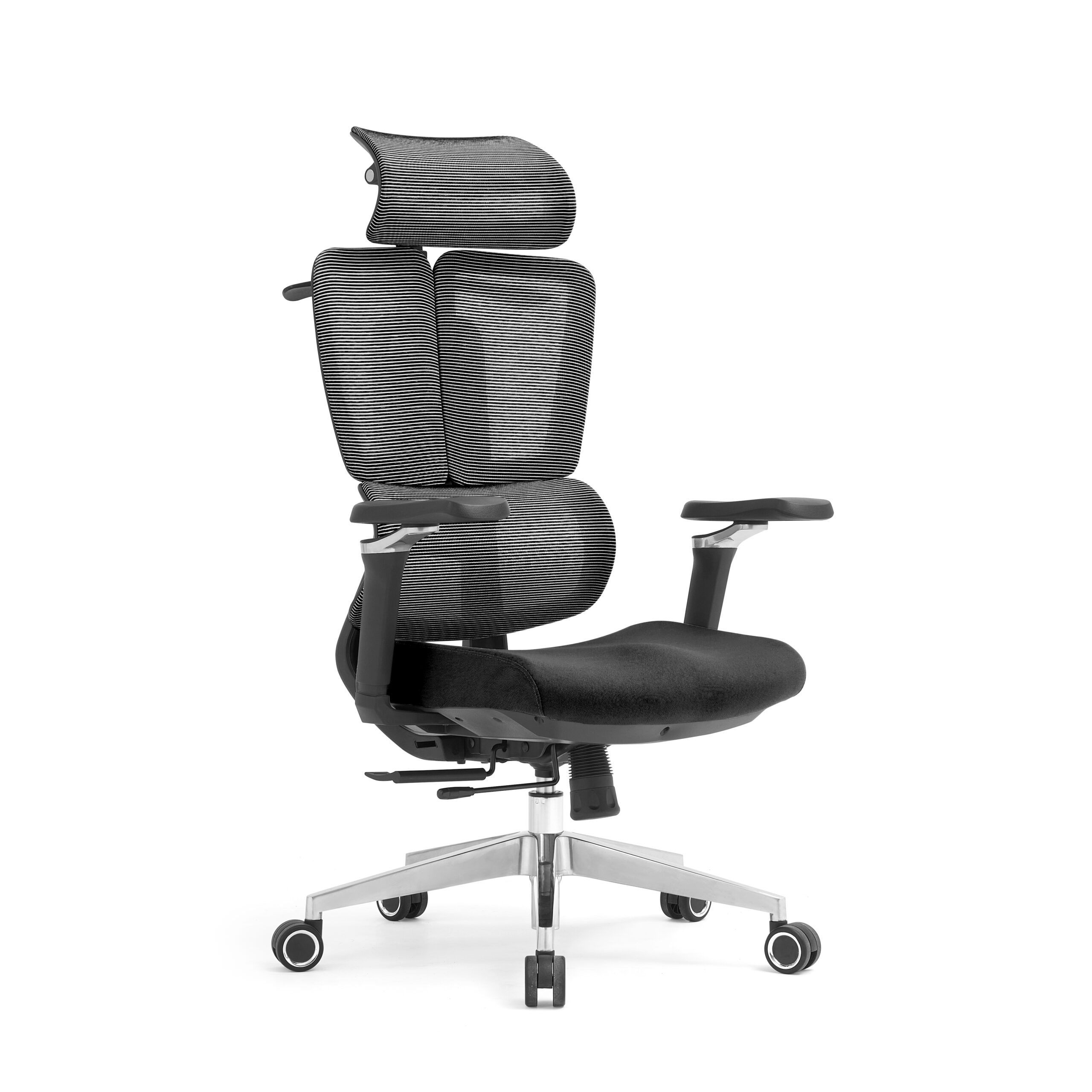 SILLA FOGGIA